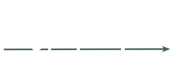 WHOLE YOU HEALTH